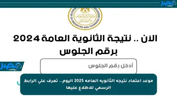 موعد اعتماد نتيجة الثانوية العامة 2025 اليوم.. تعرف على الرابط الرسمي للاطلاع عليها